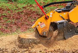 Best Stump Grinding and Removal  in Inesville, GA